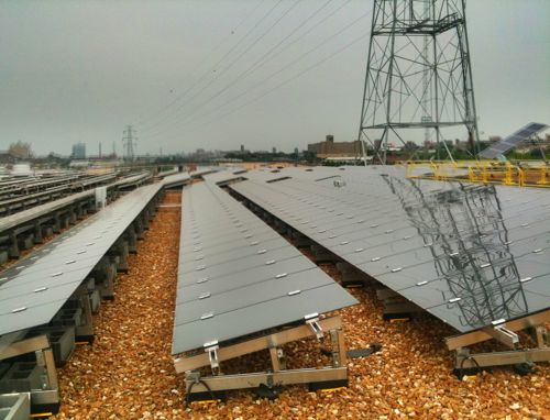 ameren