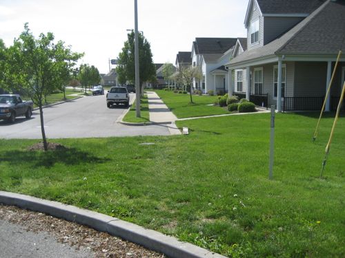 parsonsplace6