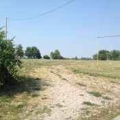 ABOVE: Powell Park is a giant square of grass with zero improvements.