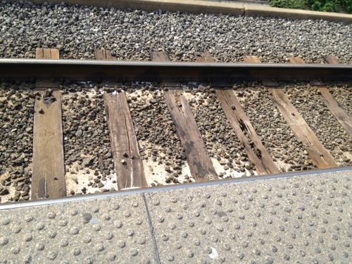 ABOVE: Many of the wood railroad ties from the original line have rotted