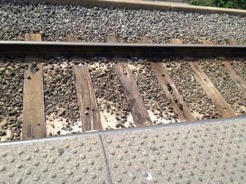 ABOVE: Many of the wood railroad ties from the original  line have rotted