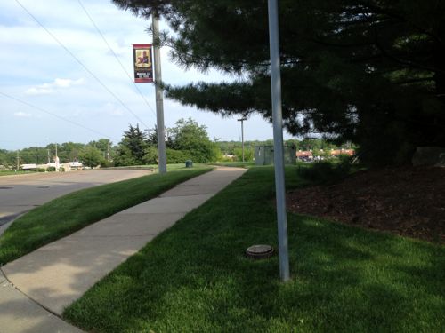 View looking south toward Watson along Trianon Parkway from the last side side street before access to be cut off. 