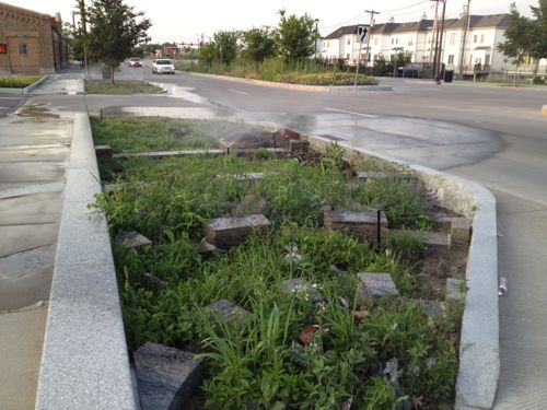 Irrigation in one of the rain gardens along North Tucker Blvd