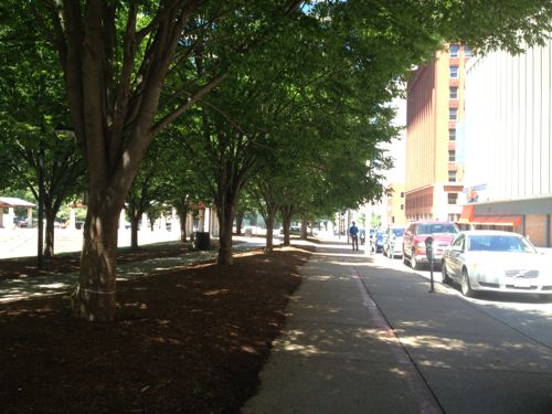 The streetcar would have a track in Chestnut plus a track in Kiener Plaza as a layover point