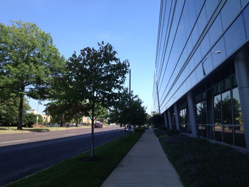 The 3-story Cortex building from 2006 faces Forest Park Ave 