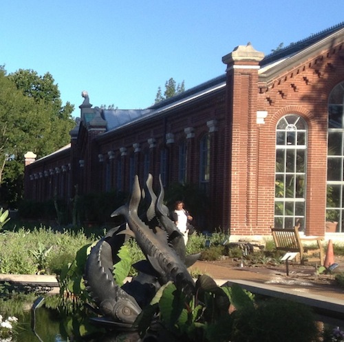 "Built in 1882, the Linnean House is the oldest continuously operated public greenhouse west of the Mississippi River. It is the only remaining greenhouse at the Garden that was built during Henry Shaw’s day. The Linnean House was originally designed to be an orangery, a house to overwinter citrus trees, palms and tree ferns.", click for source 