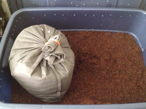 Our vermicompost bin 3 months ago lined with coconut fiber just before we added the bag of 500 worms