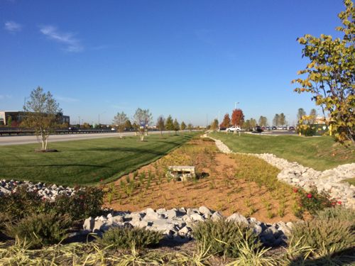 Green storm water management is attractive, should be highly functional