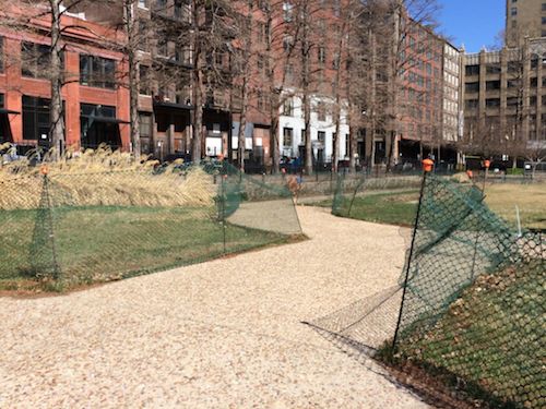 Temporary fencing remains up to allow the grass and perennials to get well established 