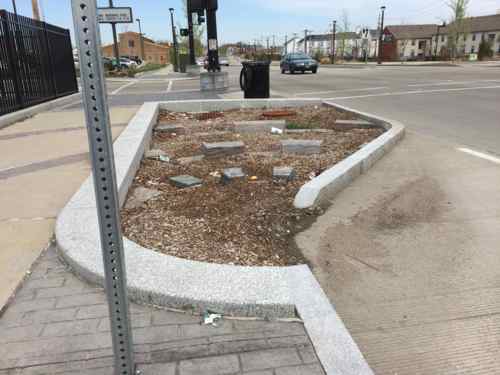 Visual evidence of standing water at opening to this rain garden on Tucker