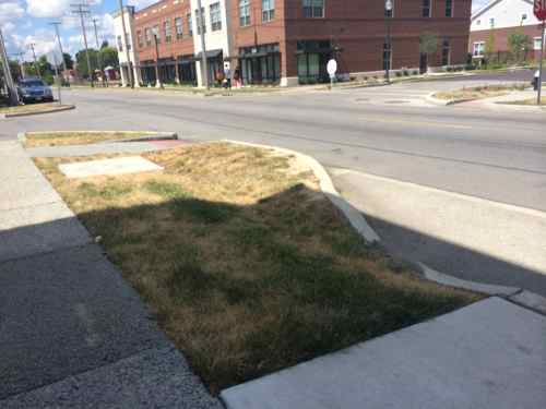 When I was here in 2012 the landscaping wasn't complete. These rain gardens will be problematic with grass instead of perennials 