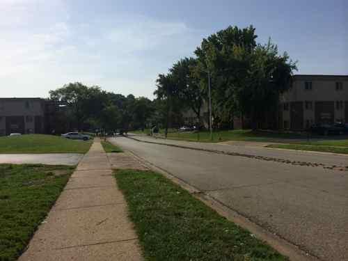 Heading east on Canfield Dr I spotted the line of red roses in the center of the street. August 22, 2014