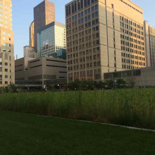 A long block was a prairie with native grades & flowers, it looked well kept because a wide border was mowed. 