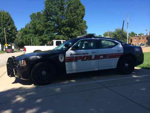 Flordell Hills police car