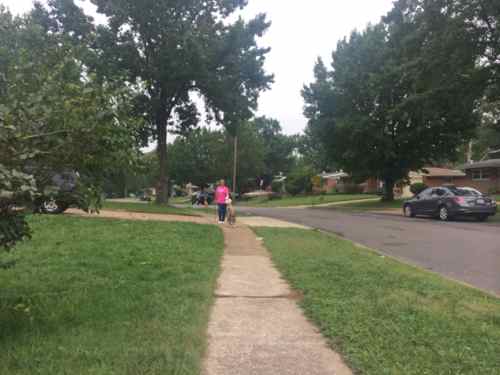 A woman walking her dog on Nesbit Dr