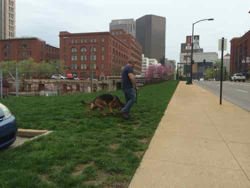 Dog owners are already using the wedge of grass between 8th St & the MetroLink tracks. 