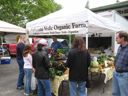 towergrovefarmersmarket20064