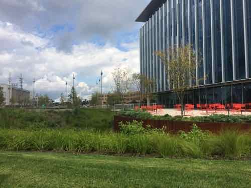The visitor sees lush landscaping, at right is the new BJC @ The Commons building 