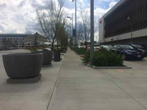 Looking back South along the Boyle sidewalk 