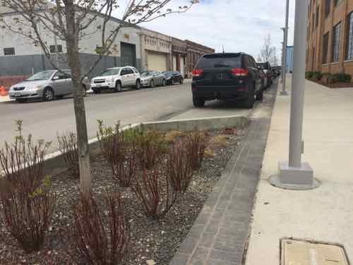 Trees planted in the parking lane on the South side of Duncan in front of the @4240 building, also April 2015