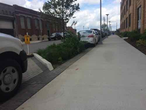 This similar view from Sept 11th shows the plants have matured, the parking paving is permeable. 