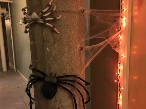 In the hallway we have spiders, web, blinking lights, zombie signs, and a black cat that makes scary sounds when disturbed (as opposed to our actual cat inside that makes sounds when she's disturbed. 