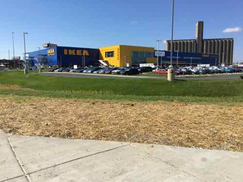 IKEA's blue &amp; yellow big box set behind a surface parking lot at Forest Park &amp; Vandeventer. View from the point where the two public sidewalks meet. 