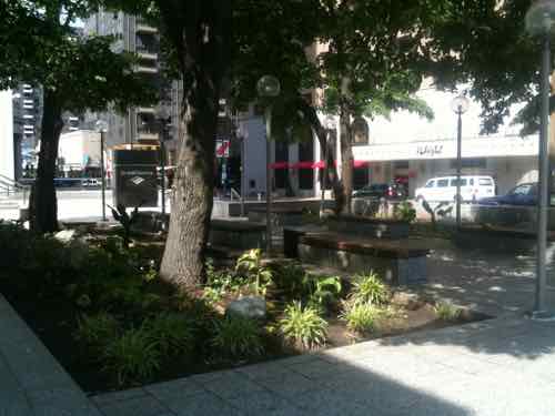 The East plashes a different feel because it is raised above the 4th St sidewalk, June 2010