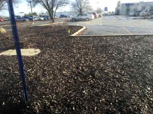 Curbs &amp; mulch at Vatterott College