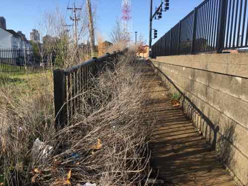 A ramp that's too narrow because of plants goes from Tucker down to O'Fallon