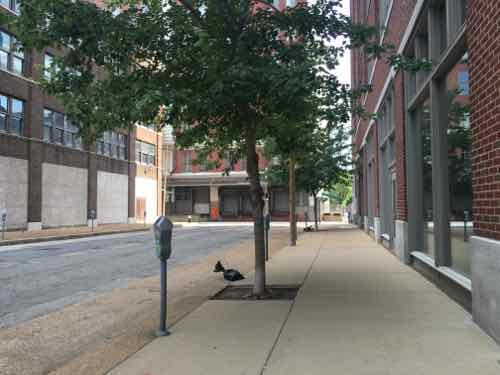 Looking North on 17th, a clear shot to Washington Ave if the old CPI dock was removed from the public right-of-way